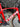 Trek Madone SLR7 Carbon - Shimano Ultegra Di2 2x12sp - Victoria Elusion 42mm carbon