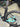 Bianchi Aquila CV Carbon - Shimano Dura-Ace Di2 2x12sp - Vision SC 55 carbon wheelset