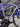 Pinarello F5 Carbon - Shimano 105 Di2 2x12sp - Ere Research Omnia II CLR45