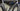 Specialized S-Works Tarmac SL6 - Shimano Ultegra Di2 2x12sp - Roval C38 Carbon
