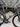BMC Teammachine SLR 01 THREE 2023 - Shimano Ultegra Di2 2x12sp - DT Swiss ARC 1650