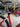 Wilier Filante SLR - Shimano Ultegra Di2 2x12sp - DT Swiss ARC 1400