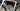 Apex Flare Carbon - Shimano Ultegra - Handmade carbon wheelset
