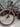 Orbea Terra M20 EKAR - Campagnolo Ekar - Campagnolo carbon