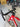Trek Madone SLR7 Carbon - Shimano Ultegra Di2 2x12sp - Victoria Elusion 42mm carbon