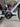 Scott Addict Gravel - SRAM Rival AXS 2x12sp - Syncros Capital X40 Carbon