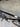 Focus Izalco Max - SRAM Red eTap - Zipp 303S