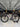 Cervelo S3 Di2 Carbon - Shimano Ultegra - Carbon wheelset