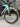 Bianchi Aquila CV - Shimano Dura-Ace Di2 - Vision SC 55 carbon