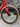 Wilier Cento1NDR Carbon - SRAM Force AXS 2x12sp - Miche carbon wheelset