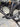 Trek Emonda SLR Di2 Carbon - Shimano Ultegra Di2 - Bontrager carbon
