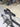 Trek Emonda SLR Carbon - SRAM Rival AXS 2x12sp - Bontrager Aeolus carbon wheelset