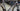Specialized S-Works Tarmac SL7 - SRAM Force AXS 2x12sp - Fulcrum Speed Lite Carbon