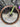 Canyon Grail CF SL CSR - SRAM Rival AXS 2x12sp - Zipp firecrest carbon wheelset