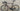 Basso Venta R. 2026 - Shimano 105 12-speed