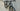 Cannondale Trail SL 1