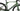Gusto GTG Sport TE 2026 - Shimano GRX Di2 2x12sp - Attaque 40C