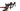 Cannondale Topstone Carbon 3 2023 - Shimano GRX - WTB ST i23 TCS, 700c, 28h, tubeless ready
