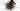 Trek Emonda SL 7 2022 - SRAM Force AXS 2x12sp - Bontrager Aeolus Pro 37