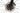 Trek Emonda SL 7 2022 - SRAM Force AXS 2x12sp - Bontrager Aeolus Pro 37
