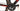 Giant Propel Advanced 1 2018 - Shimano Ultegra - Giant PA-2
