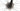 Cannondale SuperSix EVO CX 2024 - SRAM Force - DT Swiss R470