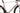 Cube Agree ON1 C:62 2025 - Shimano 105 Di2 2x12sp - FFWD TYRO Carbon