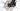Focus Aventura 2 6.7 2024 - Shimano Deore - Aluminium