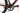 Cannondale SuperX 2023 - SRAM Rival - Mavic Allroad 1