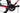 Berria Belador 2024 - SRAM Apex AXS - Fulcrum Racing 800