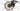 Conway Cairon C 429 2021 - Shimano Deore - Mach1 MAXX Disc