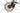 Conway Cairon C 429 2021 - Shimano Deore - Mach1 MAXX Disc