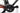 Bottecchia 8Avid Ultimate 2023 - Shimano 105 Di2 2x12sp - Fulcrum Racing 800