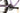 Orbea Oiz 2025 - SRAM XX1 AXS 1x12sp - Prototypi World Cup