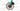 Bianchi Sprint 2024 - Shimano 105 Di2 2x12sp - Velomann