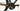 Bergamont Grandurance 6 2024 - Shimano GRX - Shining DB-T260, disc