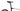 Olympia Leader Di2 11V 2025 - Shimano Ultegra Di2 - Miche