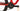 Orbea Oiz M-LTD Flight Attendant 2024 - SRAM XX SL AXS 1x12sp - Carbon