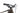 Ghost PathRiot XTR 2023 - Shimano XTR - Syntace W 33i