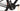 Cannondale Topstone Carbon 3 2023 - Shimano GRX - Gurpil Nova
