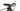Scott Scale RC 900 Pro 2022 - Shimano XT - Gurpil Alpha