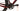 Trek Checkpoint SL7 2019 - SRAM XX1 AXS 1x12sp - Bontrager Aeolus Pro 3V
