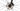 Factor LS 2022 - SRAM X01 AXS 1x12sp - Forza Levanto