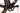 Factor Ostro Gravel 2023 - SRAM Force AXS 2x12sp - Black Inc Carbon