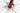 Pinarello Dogma F12 2024 - SRAM Red AXS - Mavic