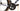 Focus Izalco Max Disc 2020 - Shimano Dura-Ace Di2 2x11sp - Novatec R5