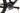 Rockrider XC 920S LTD 2022 - SRAM NX - Carbon