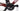Massi Arrow 2021 - Shimano 105 - RP GR24