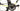 Felt FR Advanced 2024 - SRAM Rival AXS 2x12sp - Deda Elementi Zero2 Disc