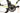 Felt FR Advanced 2024 - SRAM Rival AXS 2x12sp - Deda Elementi Zero2 Disc